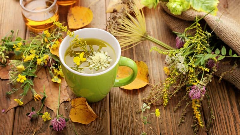 14 Top Herbs For Depression And Anxiety Kratomind